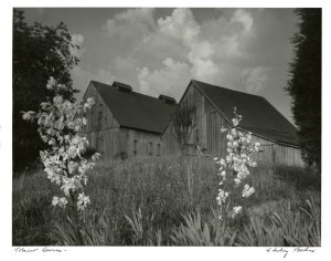 Original Vintage Photographs By A Aubrey Bodine