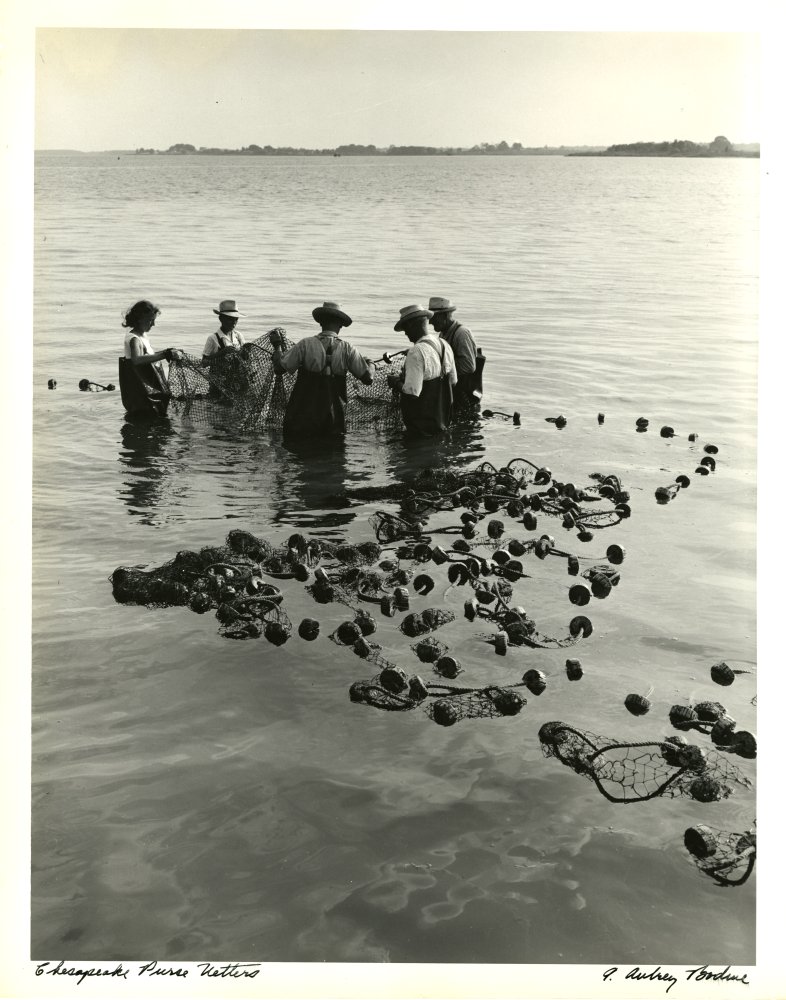 Original Vintage Photograph By A. Aubrey Bodine